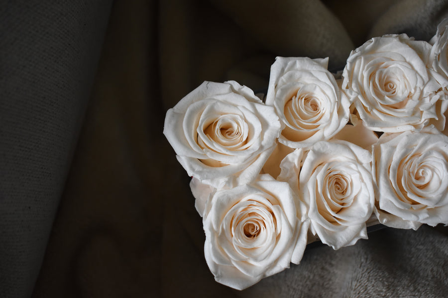 8 WHITE ROSES CENTER PIECE