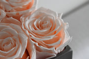 10 PINK ROSES CENTERPIECE