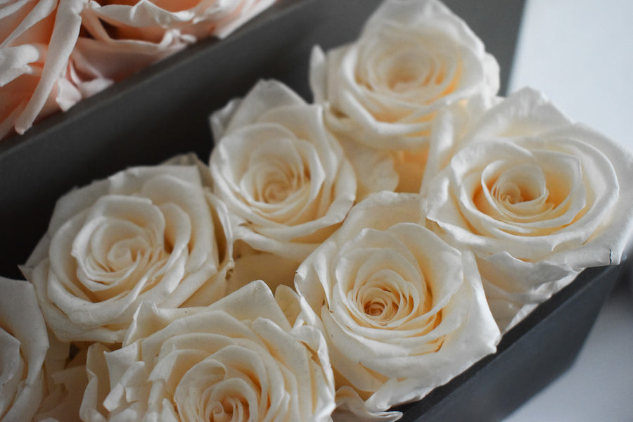 8 WHITE ROSES CENTER PIECE