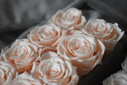 10 PINK ROSES CENTERPIECE